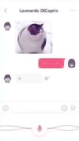 网站攻击器软件程序维护界面